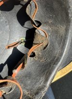 IMG_6376.jpeg