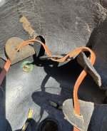IMG_6377.jpeg