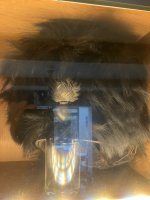 IMG_8816.jpeg