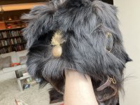 IMG_8822.jpeg