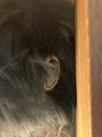 IMG_8820.jpeg