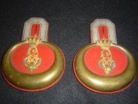 I R 95 Epaulettes.JPG
