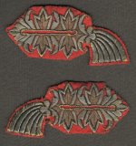 IMG_1645.jpeg