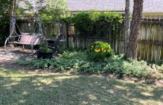 IMG_5604.jpeg