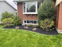 IMG_4285.jpeg