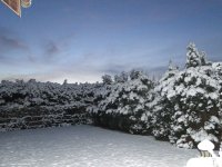 DSC05693.JPG