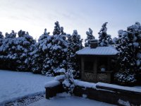 DSC05696.JPG