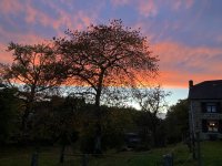 IMG_5639.jpeg