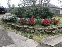 IMG_0522.jpeg