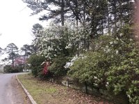 IMG_0523.jpeg