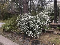 IMG_0524.jpeg