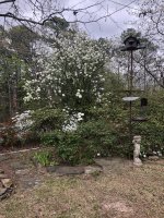 IMG_0525.jpeg