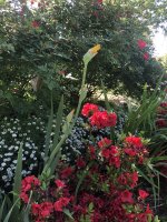 IMG_0535.jpeg