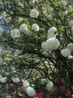 IMG_0541.jpeg