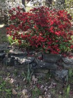IMG_0545.jpeg