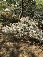 IMG_0551.jpeg