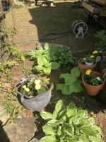 IMG_0556.jpeg