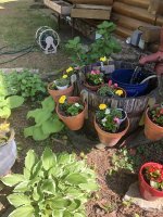 IMG_0555.jpeg