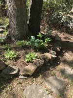 IMG_0554.jpeg