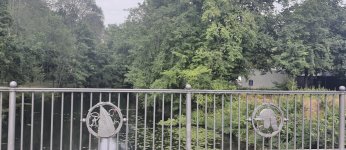 IMG_2802.jpeg