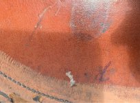 IMG_5879.jpeg