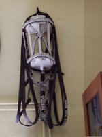 DSCN0877.jpg