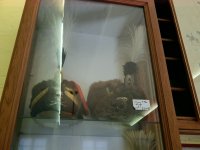 DSCN0903.jpg