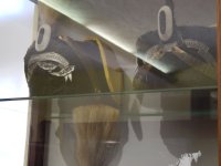 DSCN0908.jpg