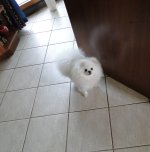 DSC06815.JPG