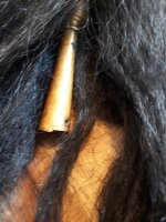 20240711_103109.jpg