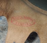 DSCN5540.jpg