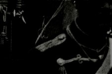 1FE50107-DCBF-4444-84D8-5CF825C0A6AF.jpeg