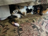 IMG_1443.jpeg
