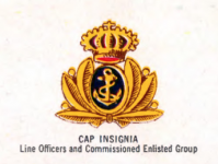 Itcap badge.png