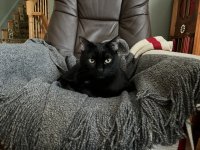 IMG_1236.JPEG