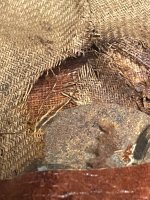 IMG_0752.jpeg