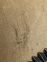 IMG_0836.jpeg