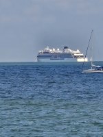 Cruise Ship.jpg
