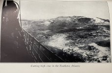IMG_4395.jpg