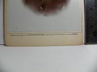 100_8733.JPG