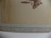 100_8788.JPG