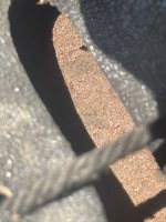 IMG_1256.jpeg