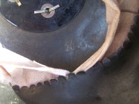 100_8333.JPG