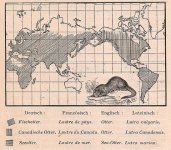 547px-Das_Kürschner-Handwerk,_II._Auflage_3._Teil,_S._76,_Weltkarte_Verbreitung_der_Fischotter...jpg
