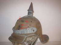 Stabsordwurt67.91..jpg