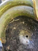 IMG_1012.jpeg