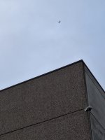20241027_144532.jpg