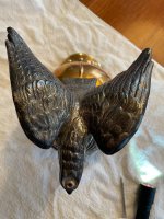 IMG_2947.jpeg