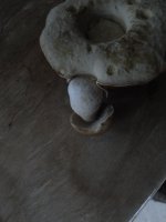DSC07164.JPG