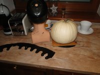 DSC07247.JPG